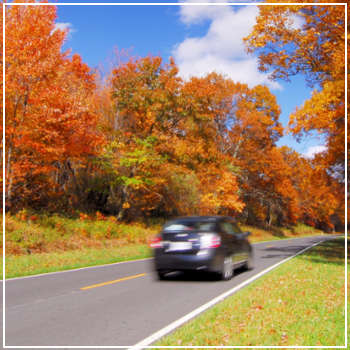car driving on a road lined with fall foliage 