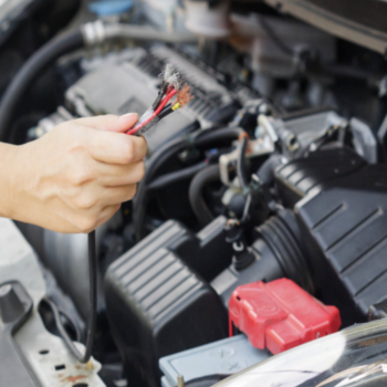 vehicle with chewed electrical wires